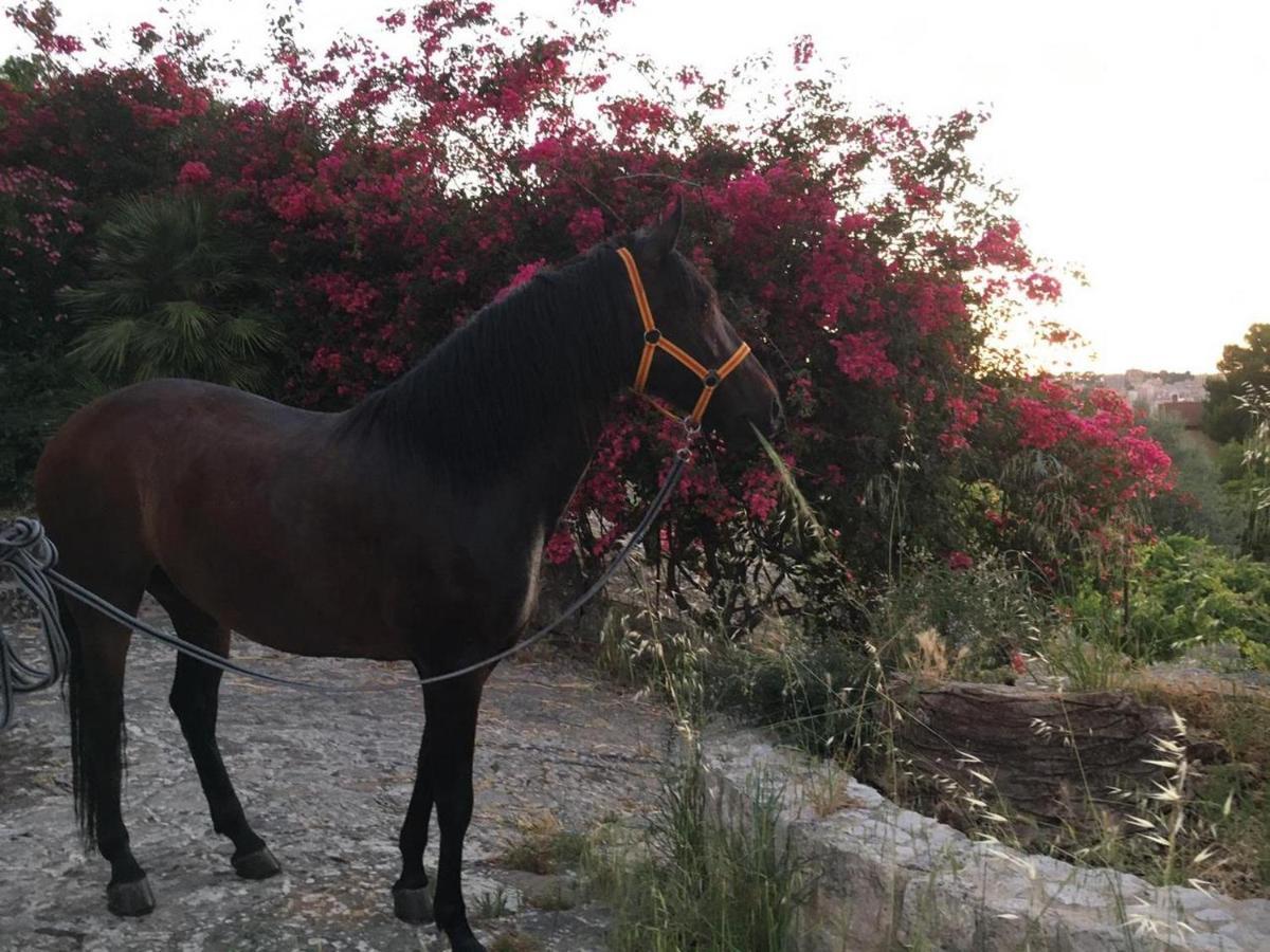 Country Sicily Home Favara Ngoại thất bức ảnh