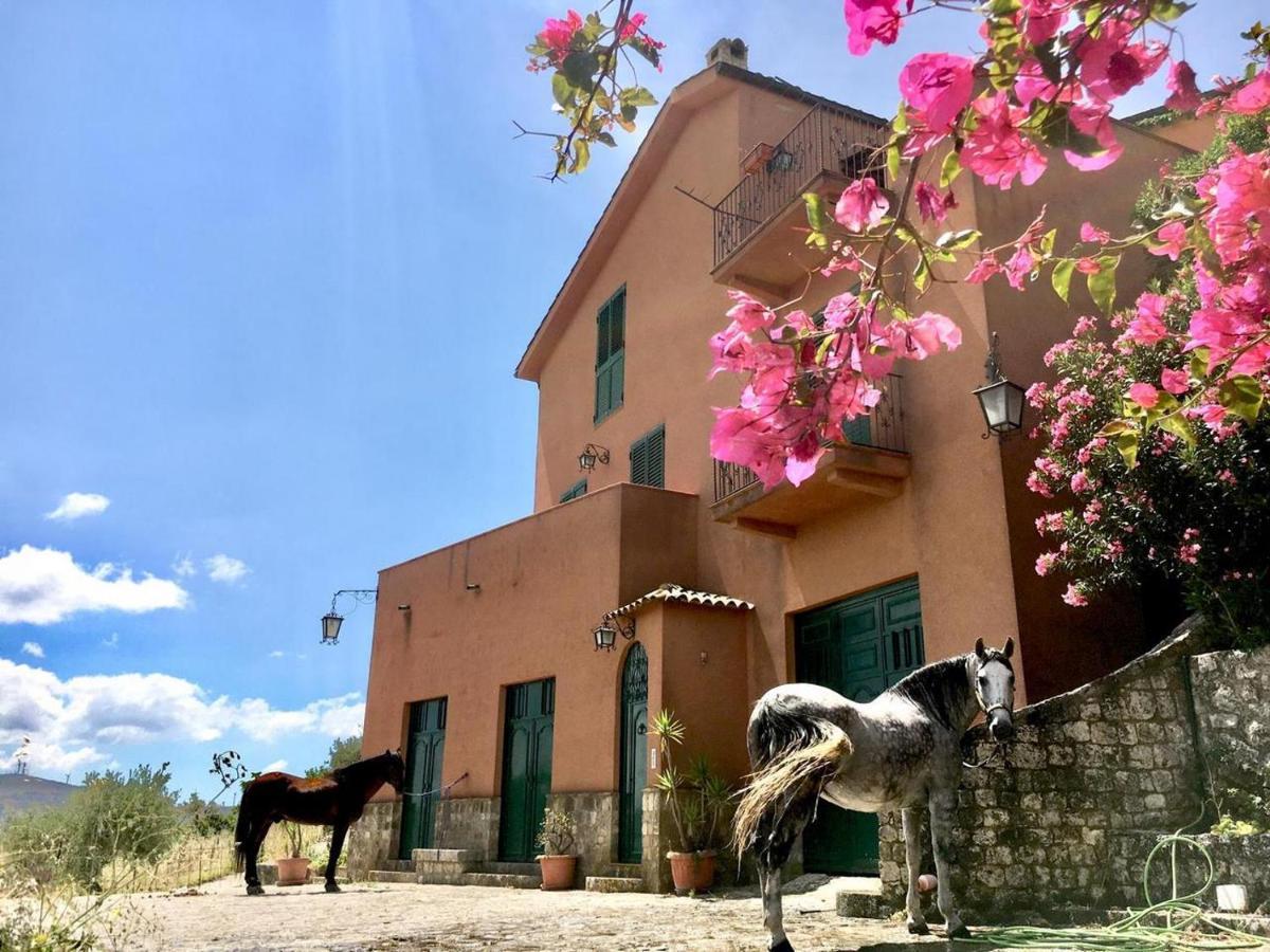 Country Sicily Home Favara Ngoại thất bức ảnh